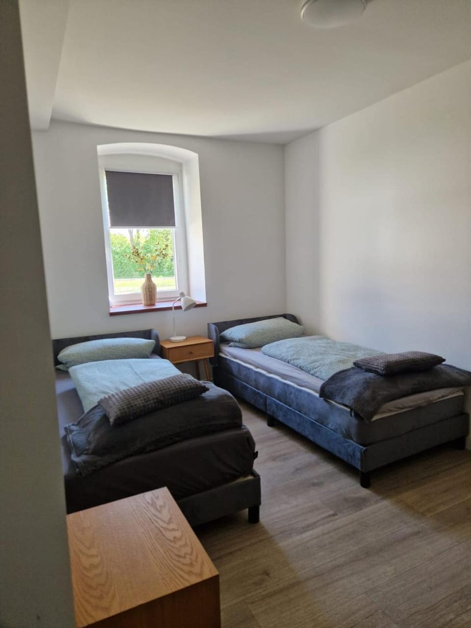 Home Apartment in Saxony-Anhalt, Germany