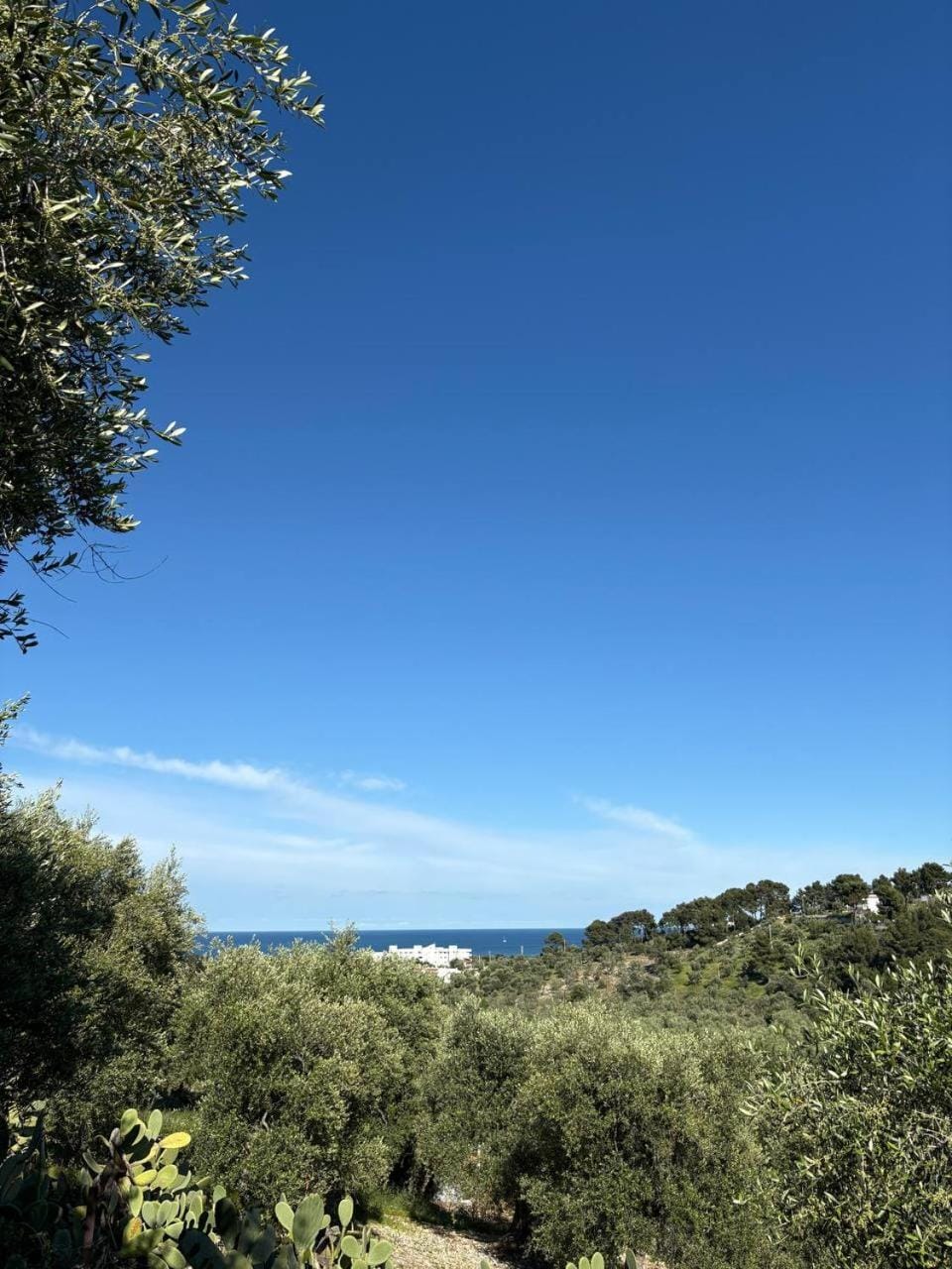 Sea view