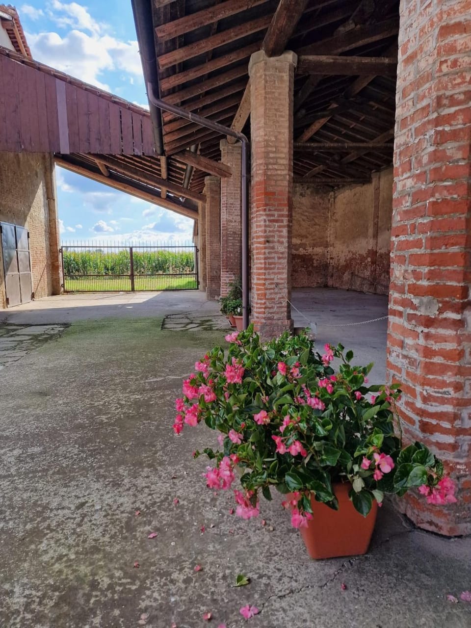Cascina Robusta three-room apartment Box Private parking Apartment in Lombardy