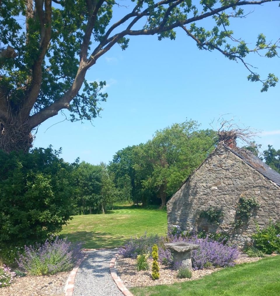 Hemma Grove - A Songbird haven House in County Kilkenny