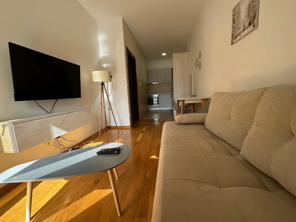 Apartment ViSi 24 Apartment in Budva