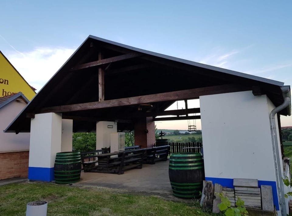 Vinný sklípek s ubytováním House in South Moravian Region