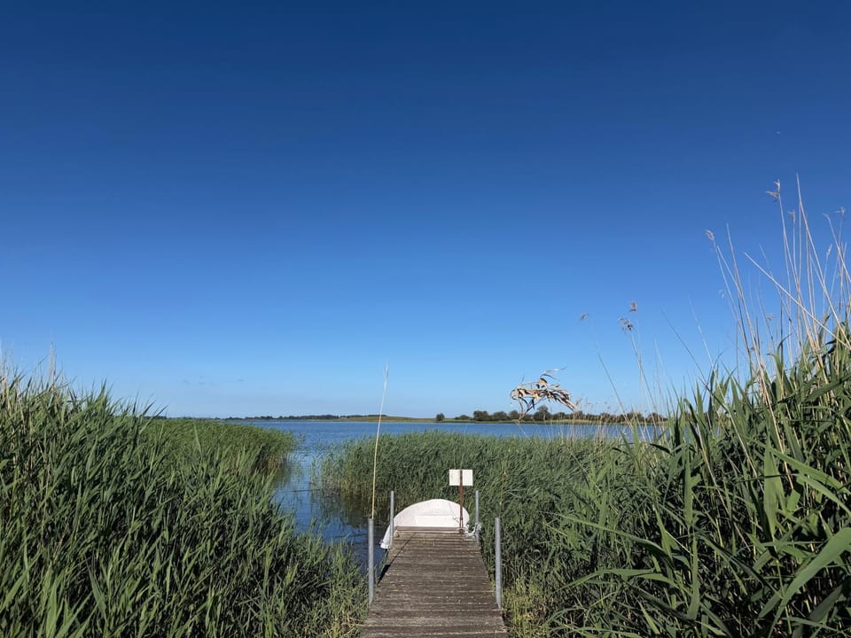 Ferienwohnung - Rügenbrise mit Seeblick mit 3 Bädern, Steg und Paddelboot - alle inklusive Apartment in Mecklenburg-Vorpommern, Germany