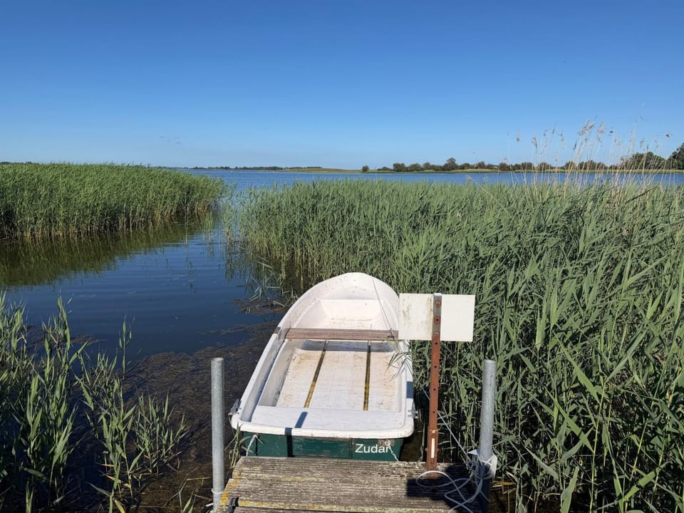 Ferienwohnung - Rügenbrise am Wasser mit Steg und Paddelboot - alles inklusive Apartment in Mecklenburg-Vorpommern, Germany