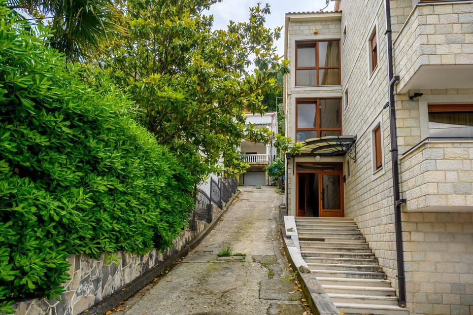 Neighbourhood, Garden, Street view