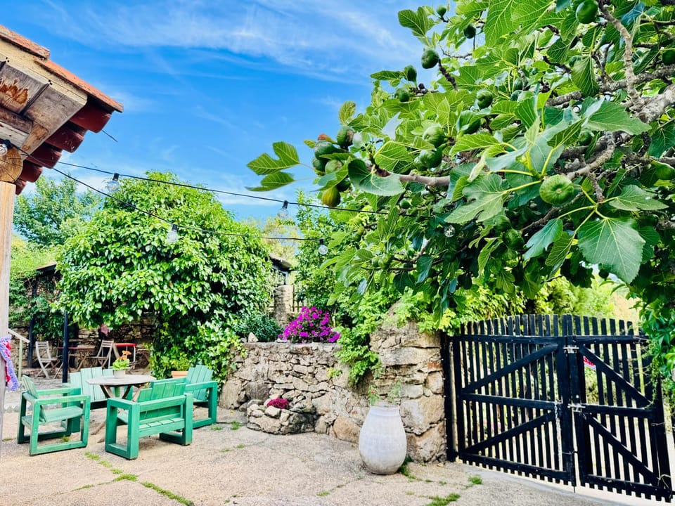 Property building, Garden, Inner courtyard view