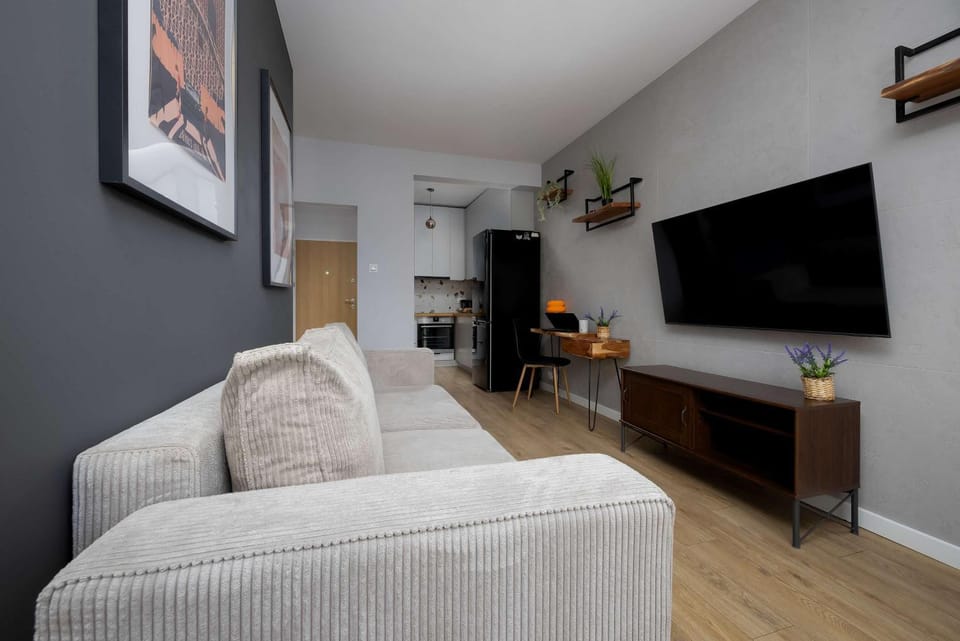 TV and multimedia, Kitchen or kitchenette, Living room, Seating area, Evening entertainment