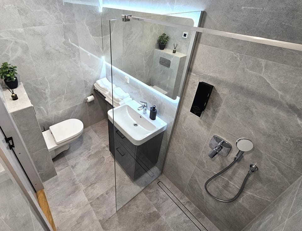 Shower, Toilet, Bathroom, towels