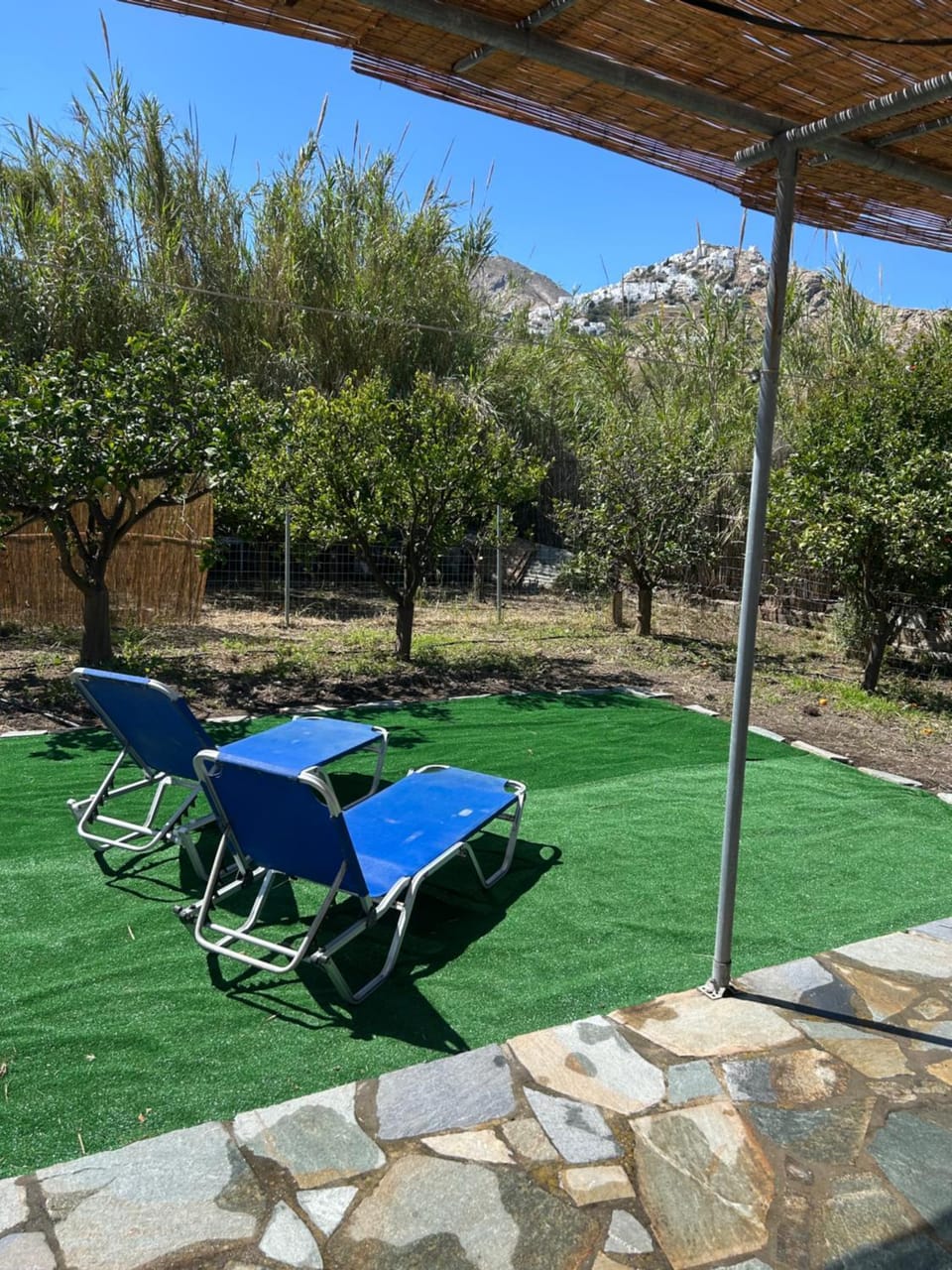 Garden view