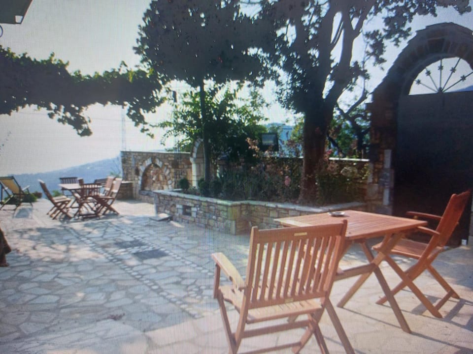 Patio, Day, Natural landscape
