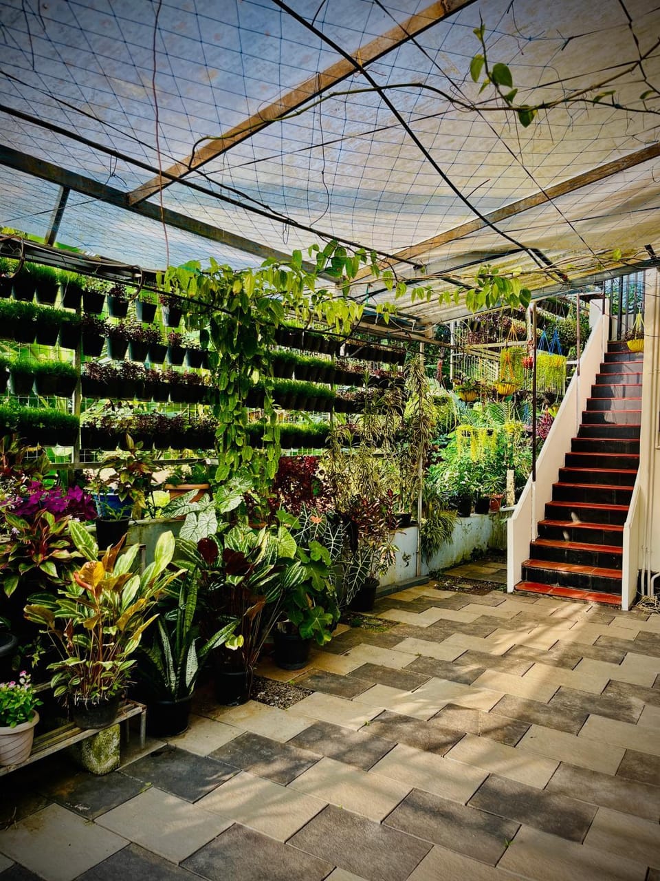 Facade/entrance, Garden, Garden view