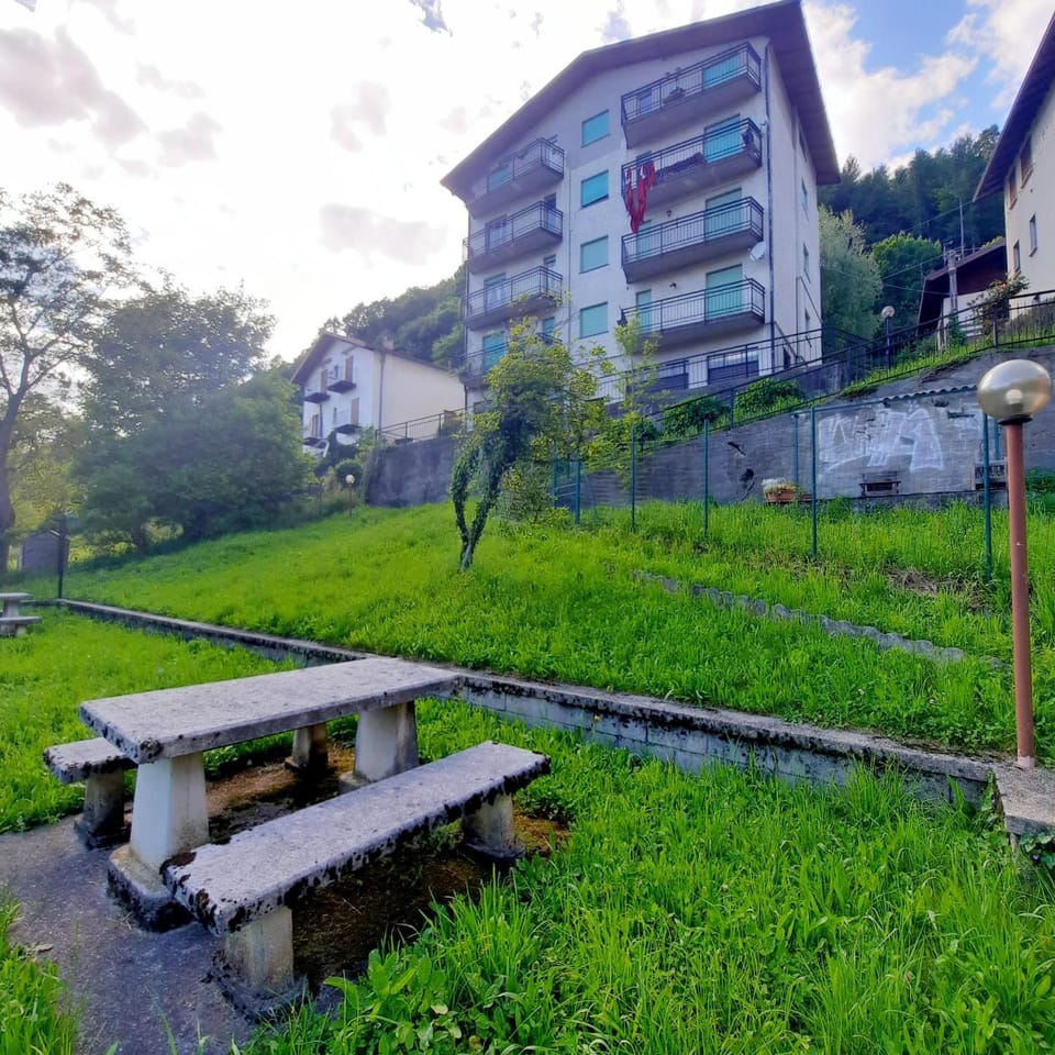 Natural landscape, Garden