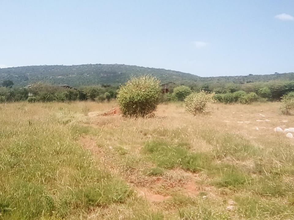 Miliki Maasai Mara Bed and Breakfast in Kenya