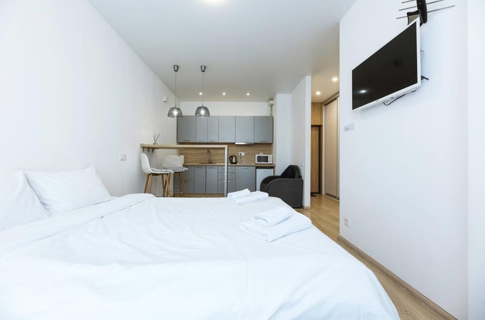 Bed, TV and multimedia, Kitchen or kitchenette, Photo of the whole room, Dining area