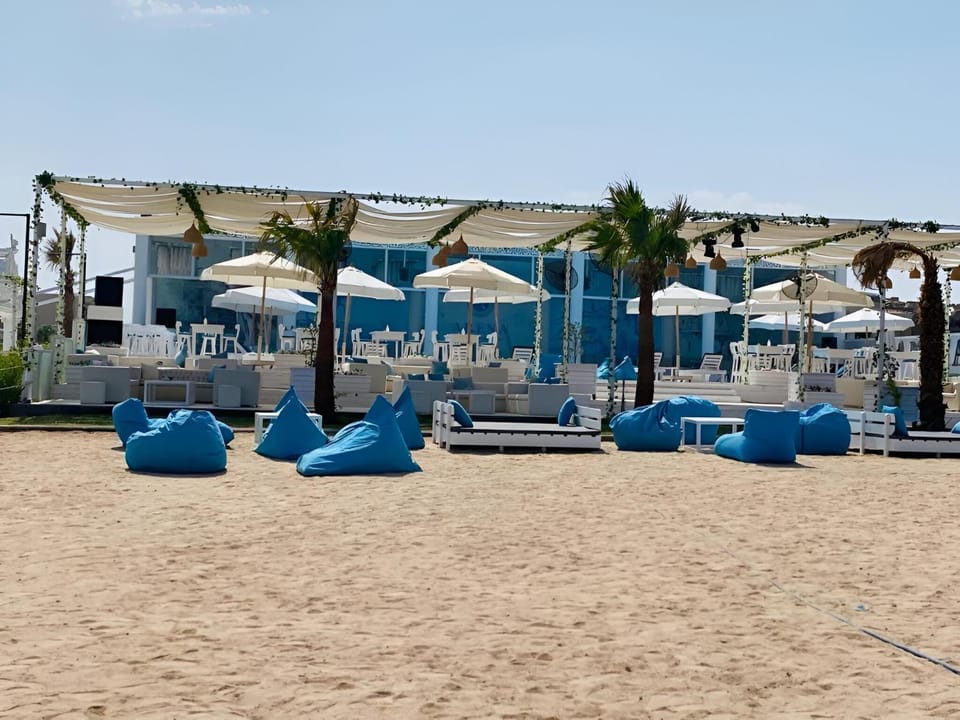 Day, Lounge or bar, Beach, Pool view, Swimming pool, sunbed