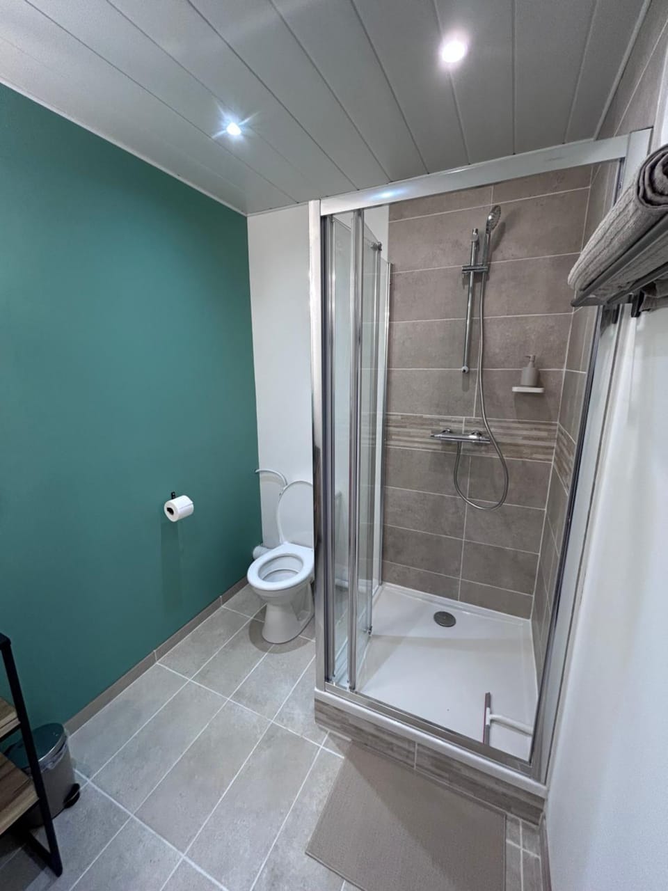 Appartement proche zenith "mizo" Apartment in Auvergne-Rhône-Alpes