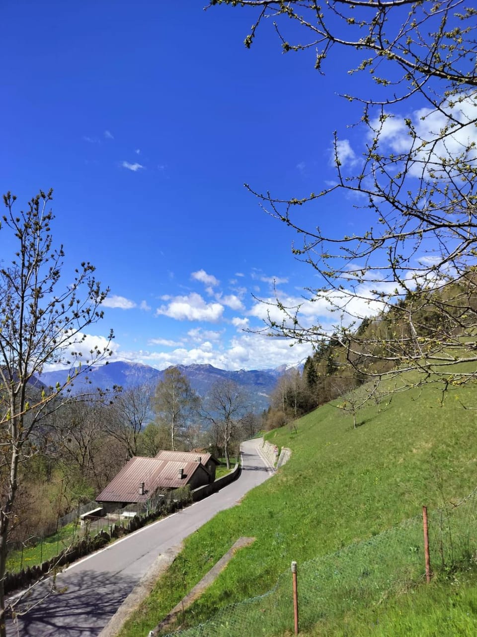 green Apartment in Province of Brescia