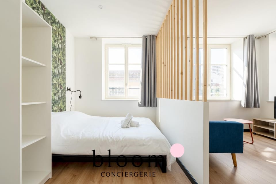 Le cocon Place du Marché Nancy coeur de ville Apartment in Nancy
