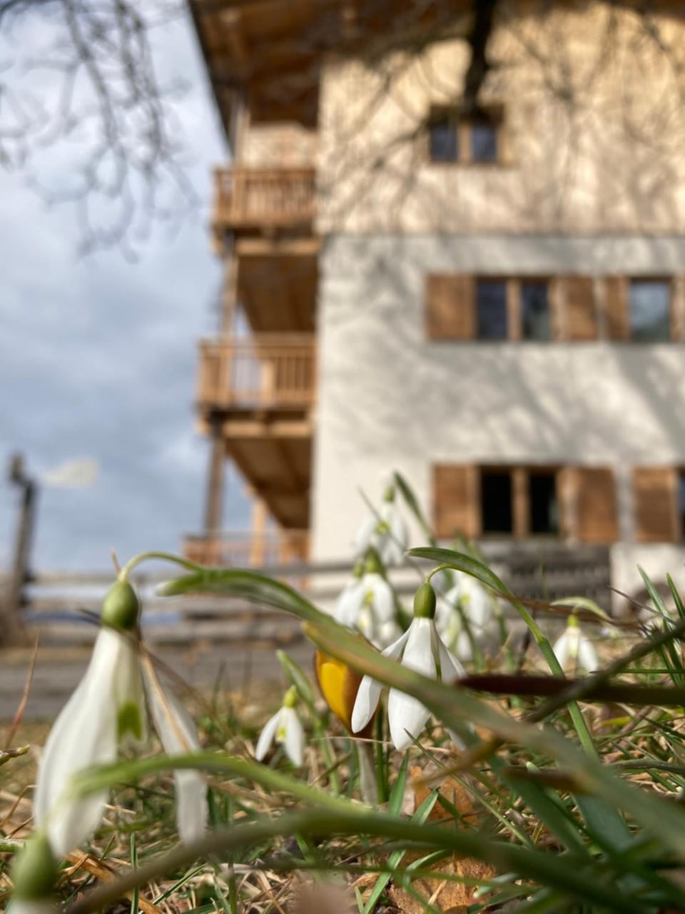 Patio, Balcony/Terrace