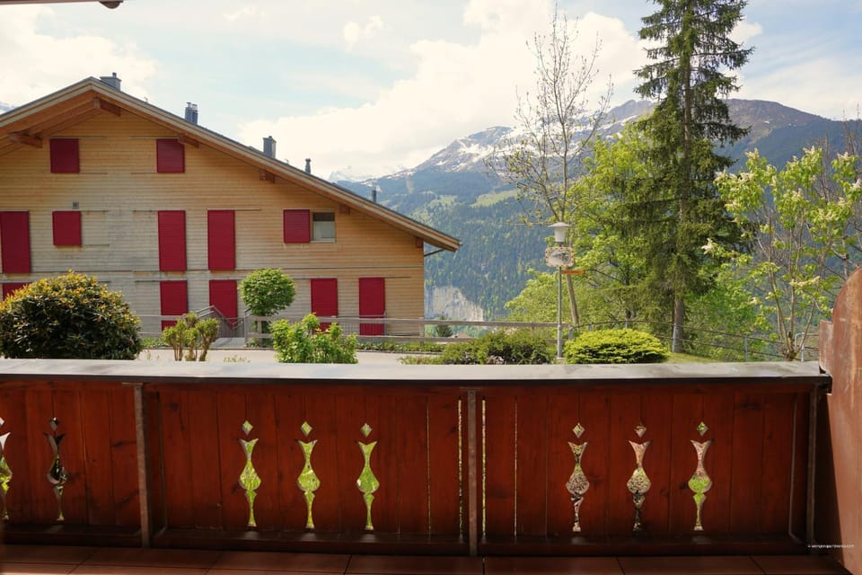 Garden, Mountain view