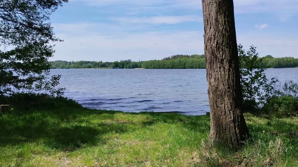 Natural landscape