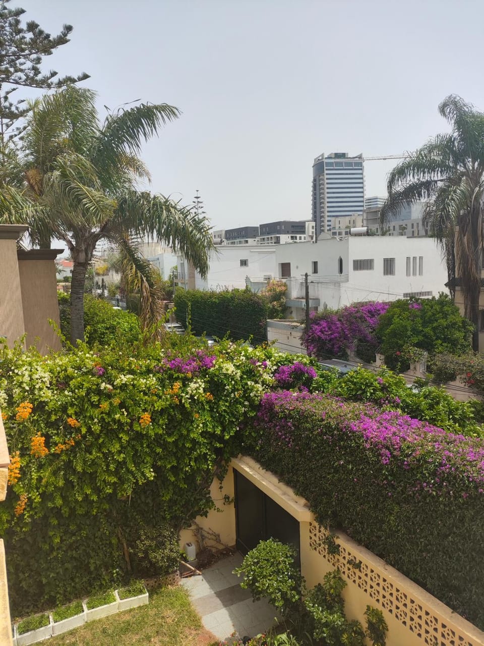 Garden, Garden view