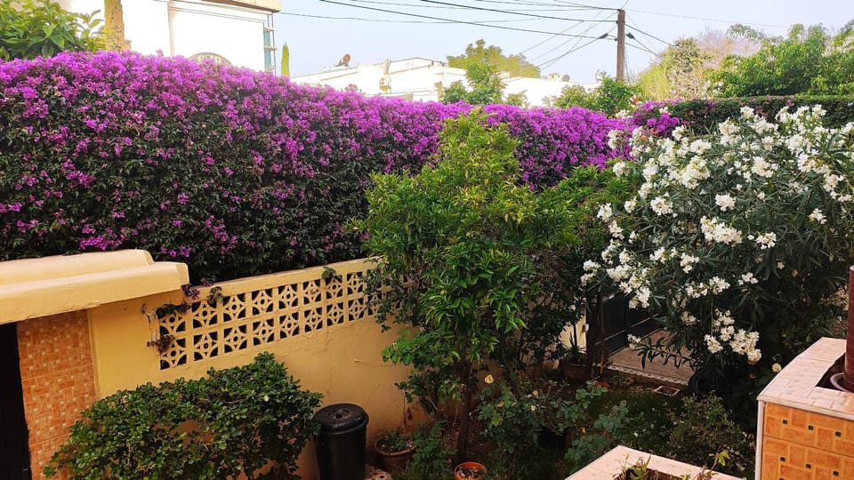 Garden, Garden view