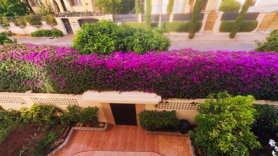 Garden, Garden view