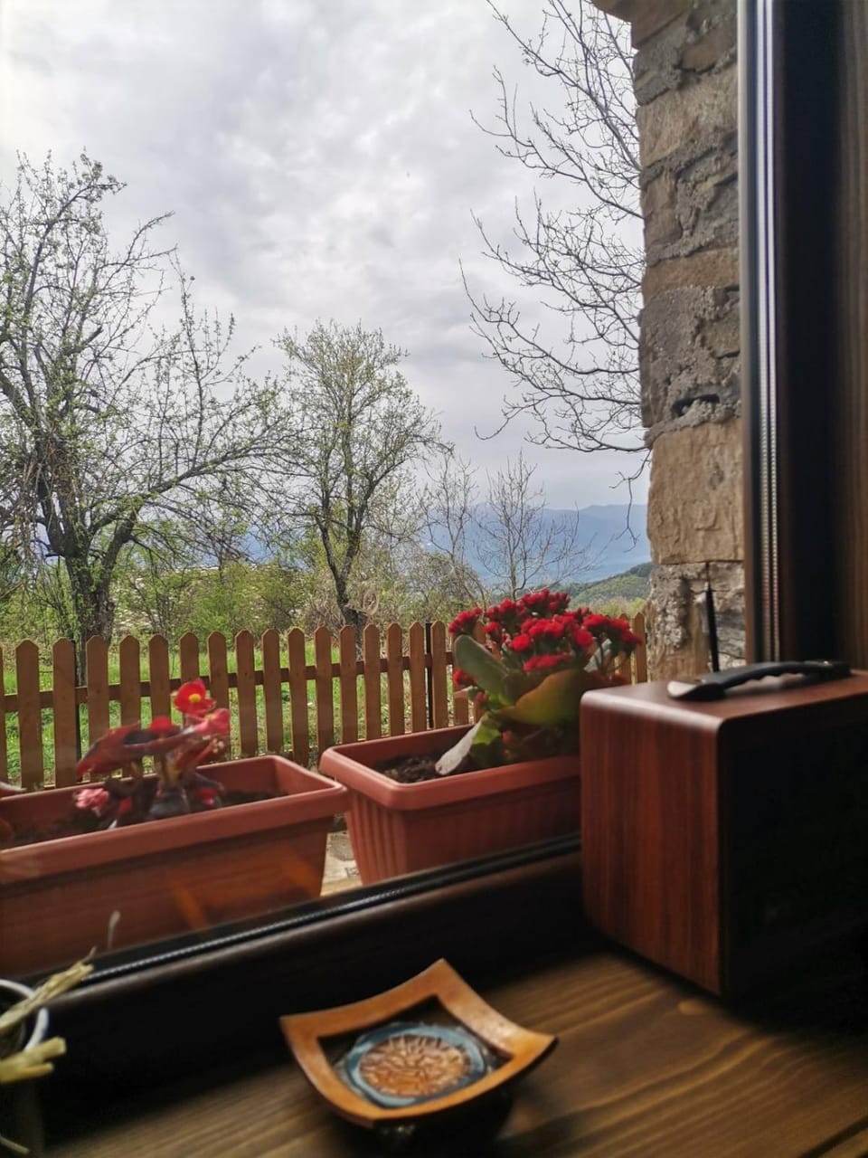 Dining area, Garden view