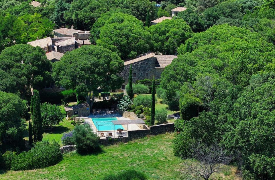 Spring, Garden, Garden view