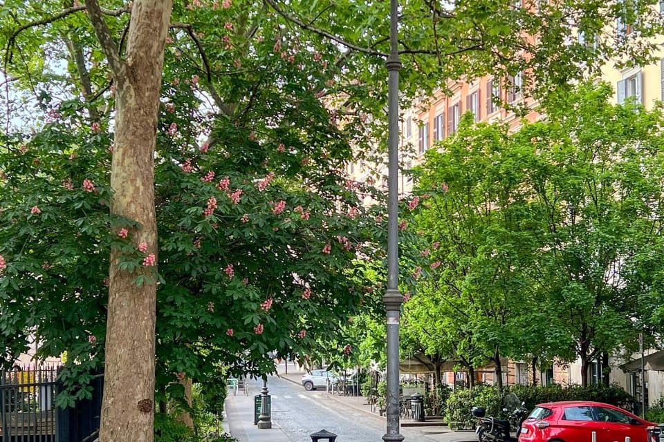 Neighbourhood, Street view, Location