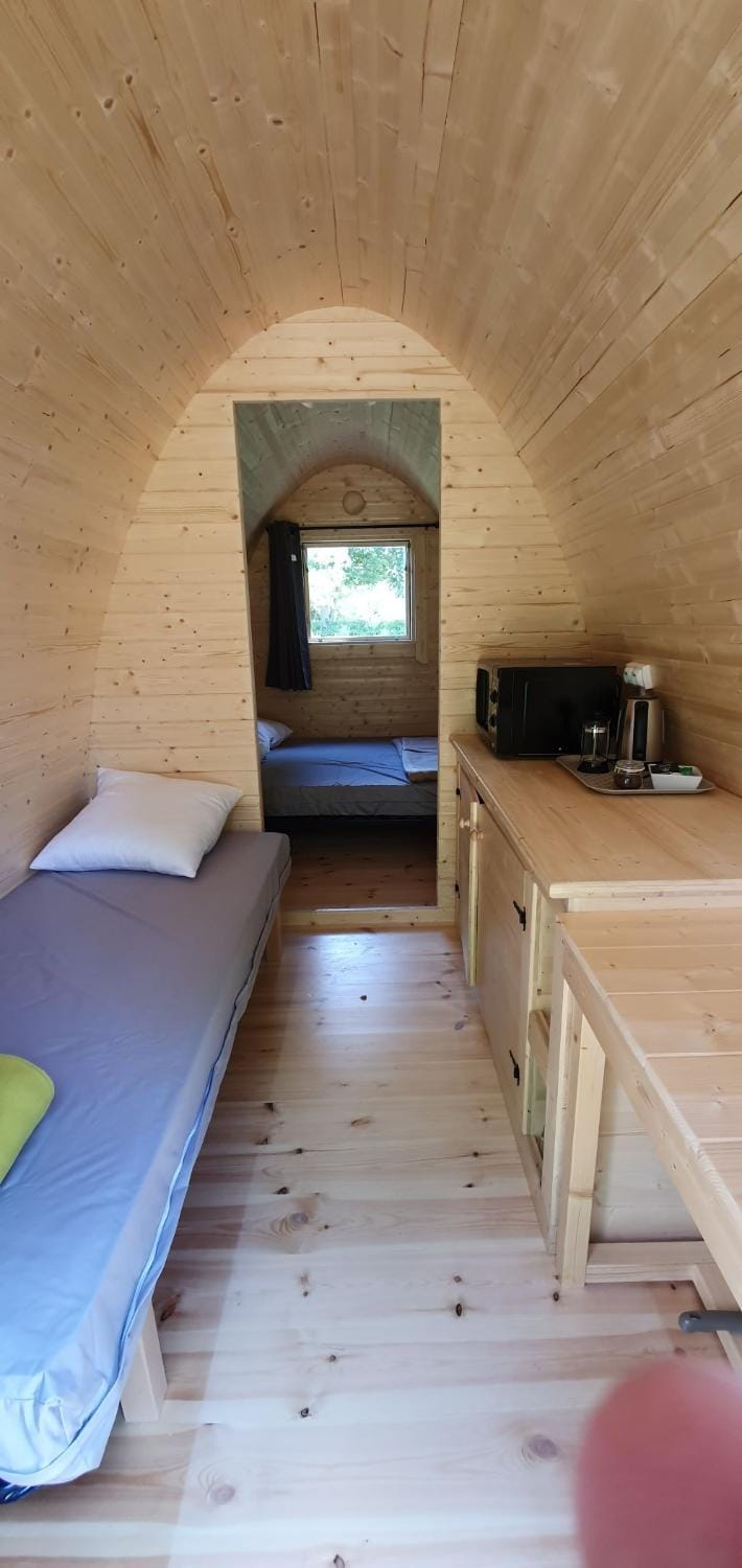 Bed, Photo of the whole room, Dining area