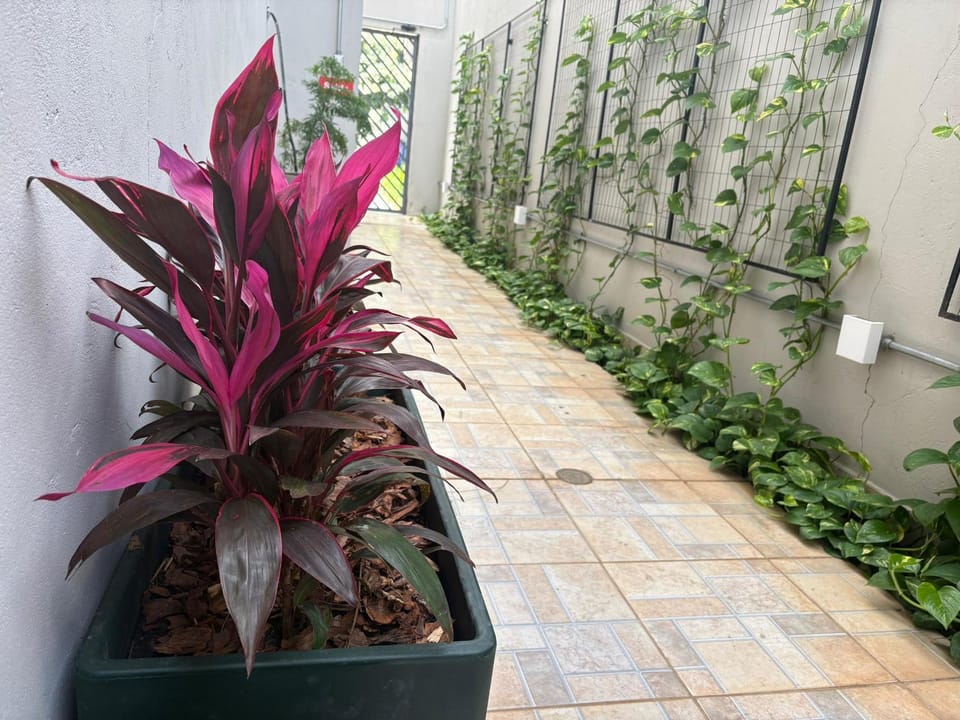 K3 RESIDENCE Campinas, bairro nobre Inn in Campinas