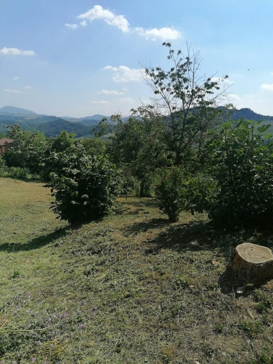 Cottage Belvedere House in Piedmont