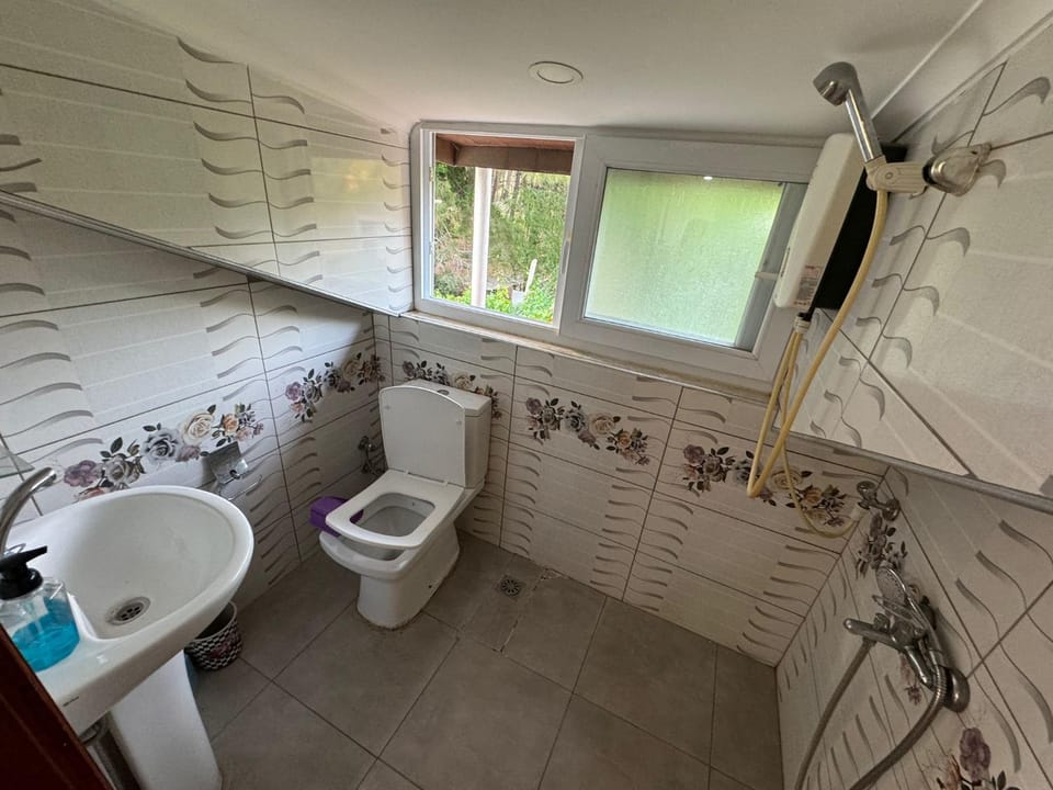 Shower, Toilet, Bathroom, bidet