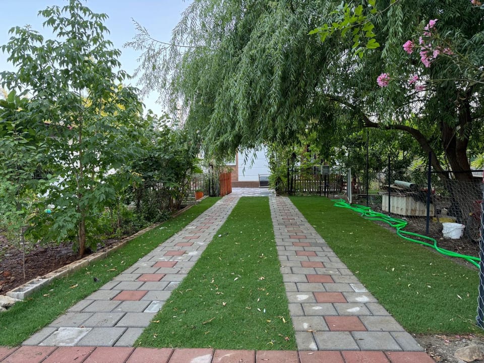 Spring, Day, Natural landscape, Garden, Garden view