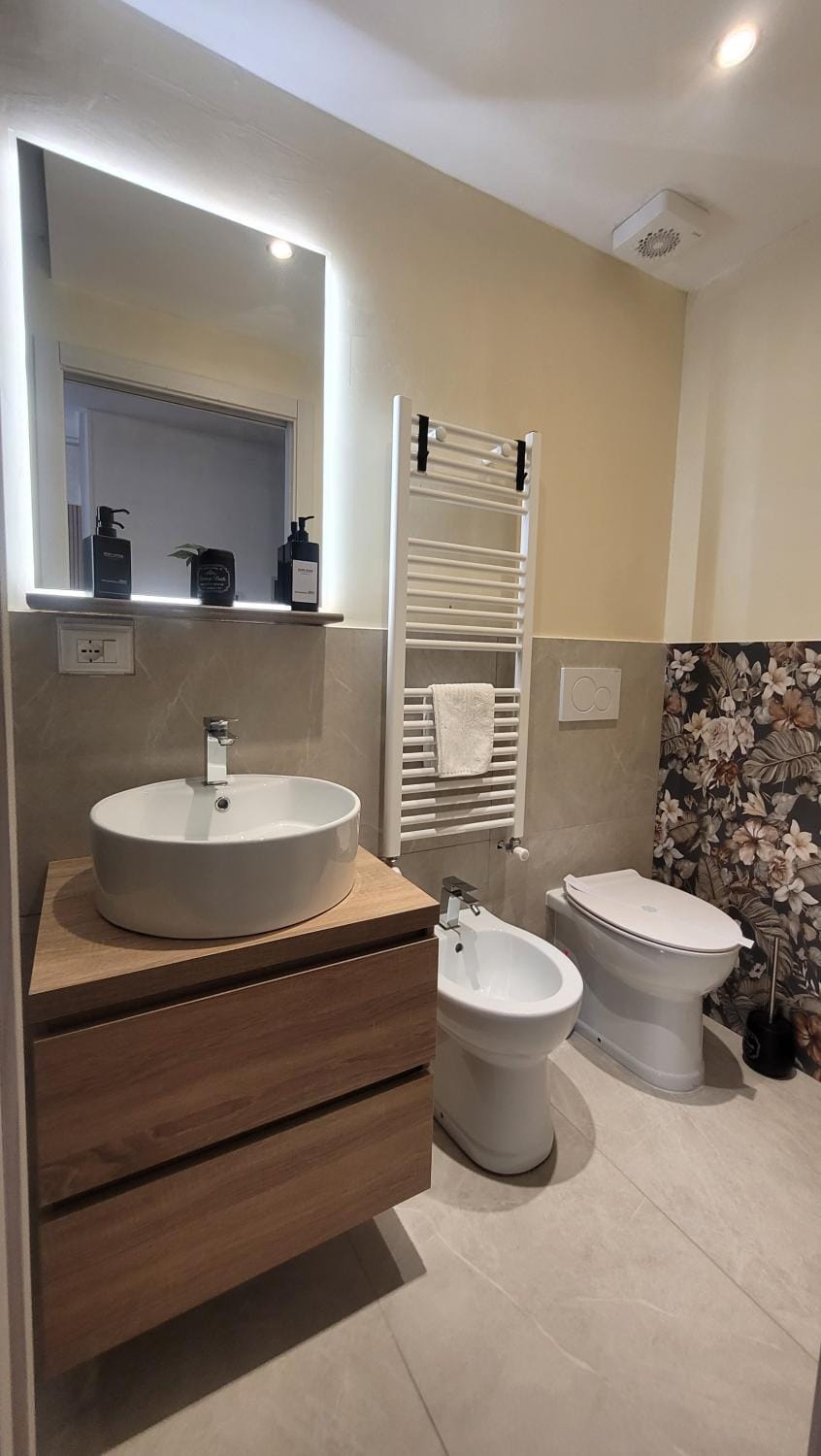 Toilet, Bathroom, bidet
