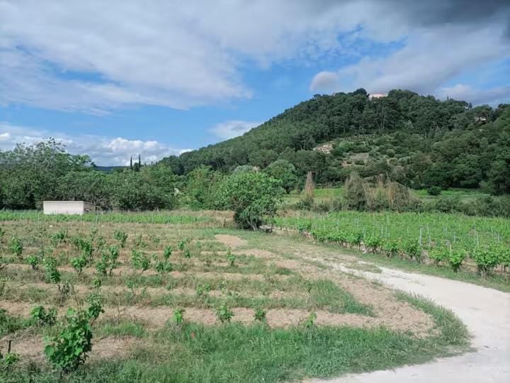 Au coeur des vignes House in Le Beausset