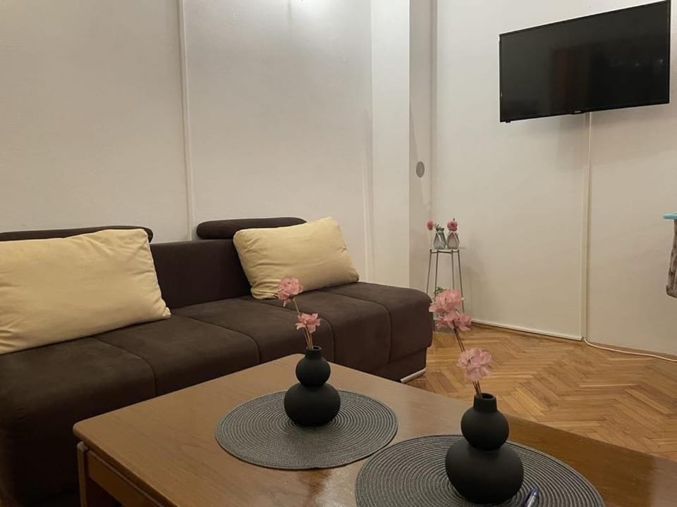 Apartment Eni Apartment in Crikvenica