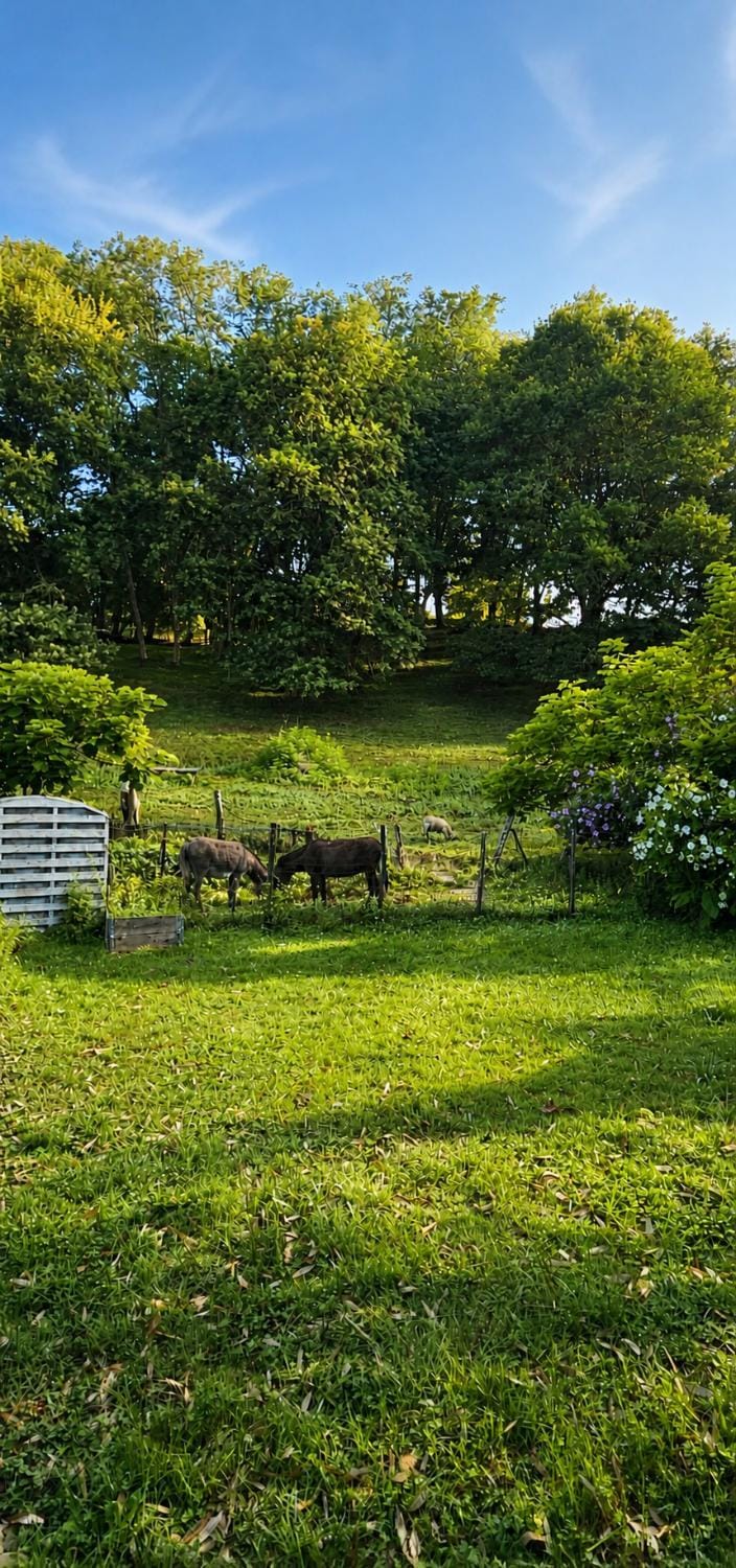 Maison calme en bord de rivière House in French Basque Country