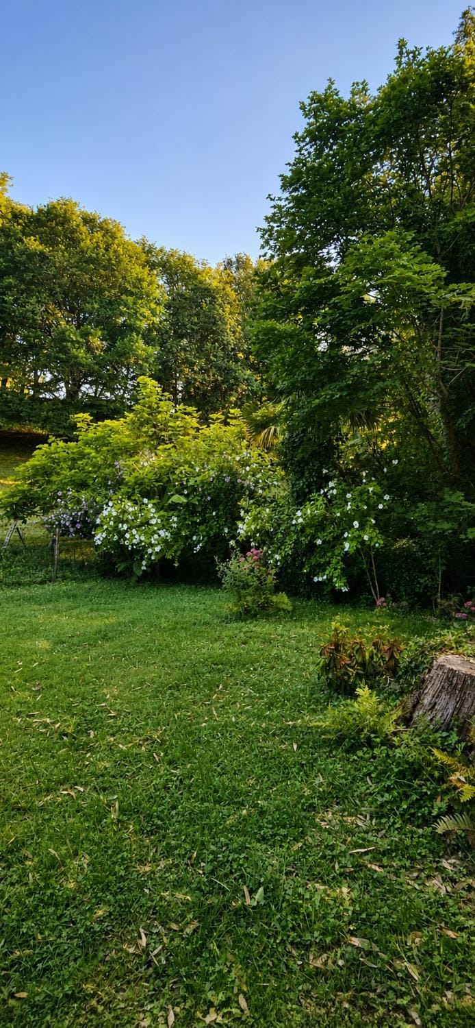 Maison calme en bord de rivière House in French Basque Country