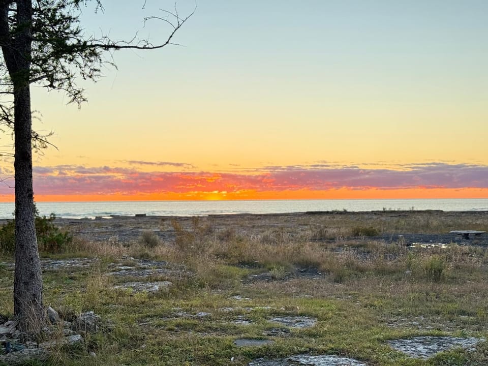 Nearby landmark, Natural landscape, Garden, Sea view, Sunset
