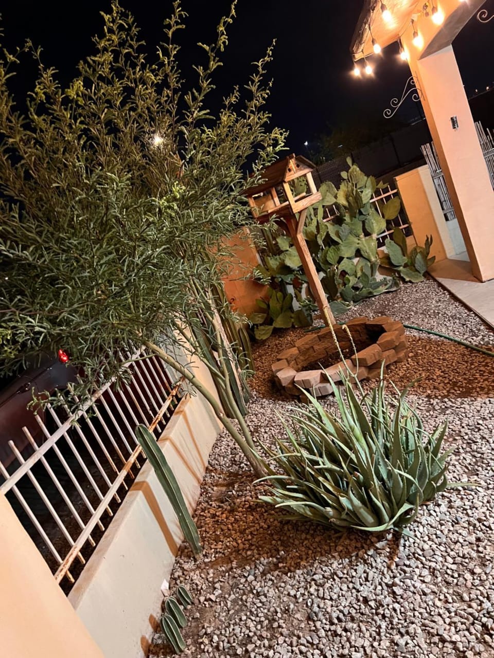 Garden view