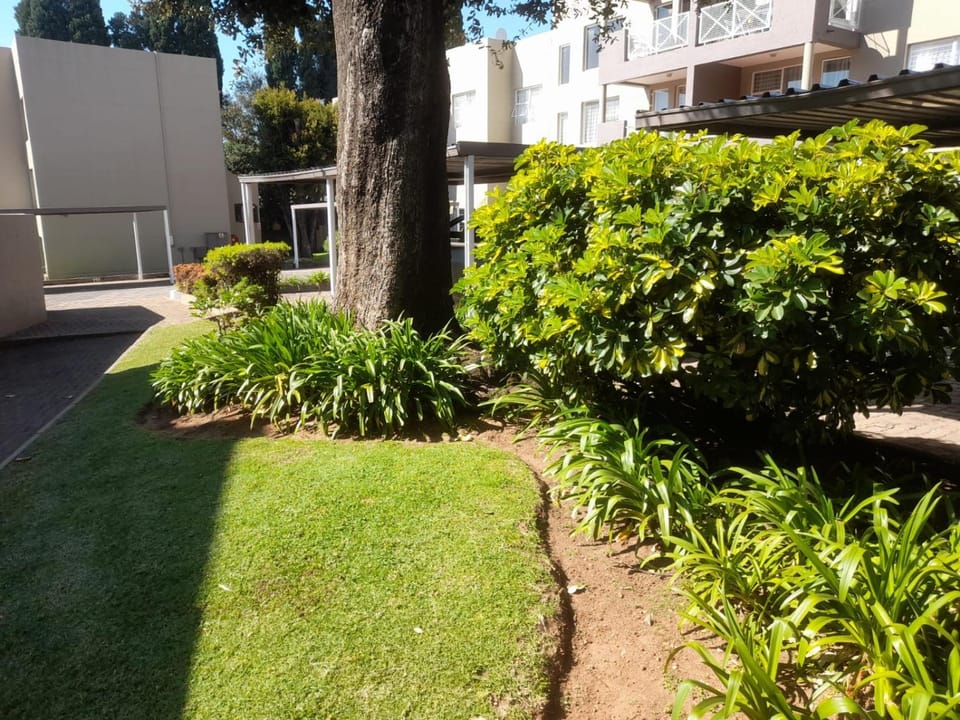 Property building, Natural landscape, Garden