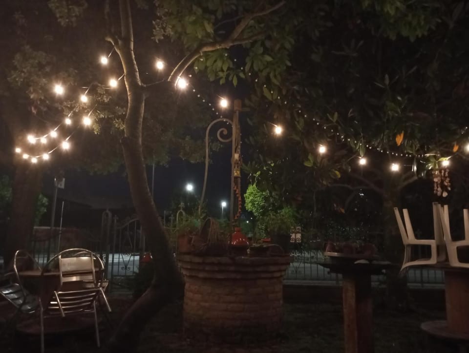 Garden view