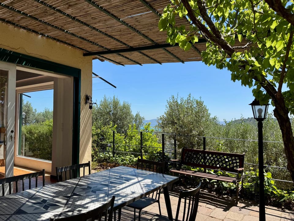 Day, Summer, Dining area
