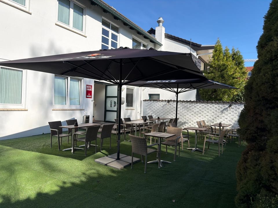 Property building, Garden, Garden view