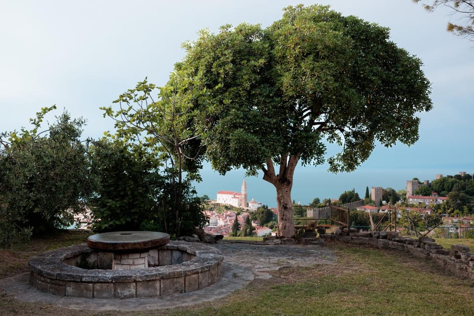 Nearby landmark, Natural landscape, Garden