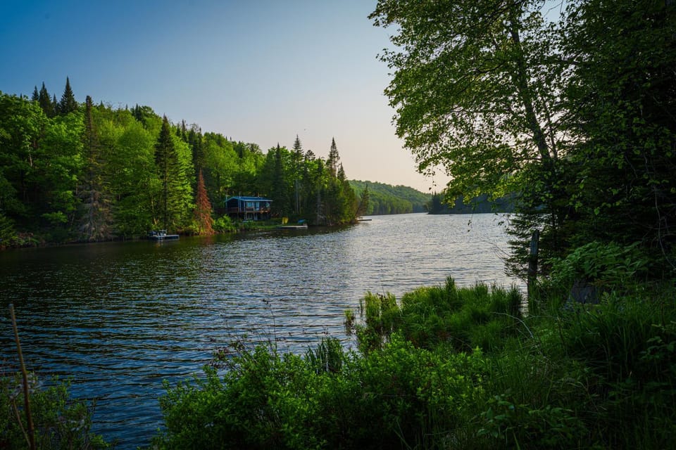 Lake view