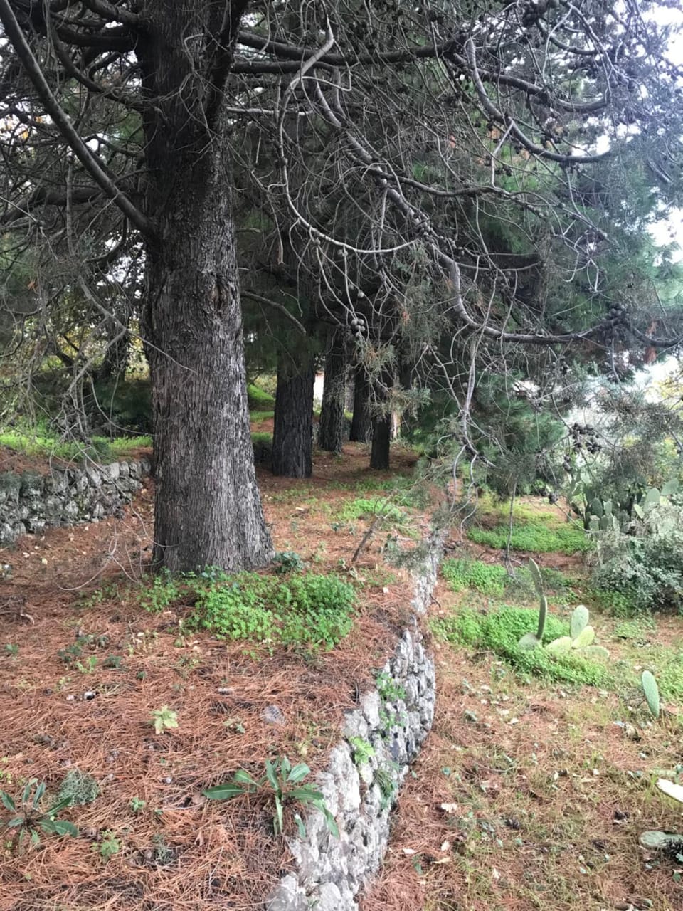 Casa Vacanze Etna House in Sicily